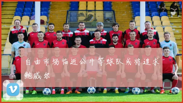 自由市场临近公牛等球队或将追求鲍威尔